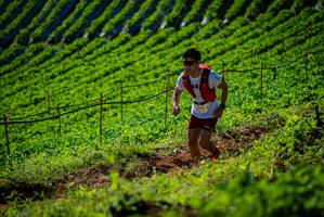 BIB: 
                            <button type="button" onclick="openModal(19161033)" class="btn btn-primary btn-sm float-right btn-popup" data-toggle="modal" data-target=".modal-high-quality">
                        <i class="fas fa-shopping-cart"></i> Add to Cart
                    </button>
                                            <button type="button" onclick="isThisMe(19161033, true)" class="btn btn-success btn-sm float-right btn-popup btn-isme hidden" data-toggle="tooltip" data-placement="bottom" title="นี่คือรูปของคุณใช่ไหม คลิกที่นี่เพื่อเอาเข้าอัลบั้ม">
                        <i class="fas fa-plus"></i> Add to album
                    </button>
                    <button type="button" onclick="isThisMe(19161033, false)" class="btn btn-warning btn-sm float-right btn-popup btn-isnotme hidden">
                        <i class="fas fa-ban"></i> Remove from album
                    </button>